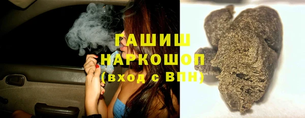 молекула духа Новозыбков