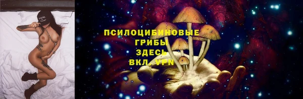винт Новокубанск