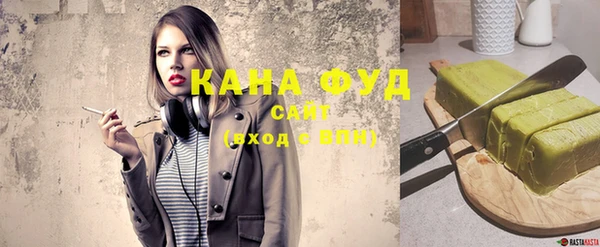 молекула духа Новозыбков