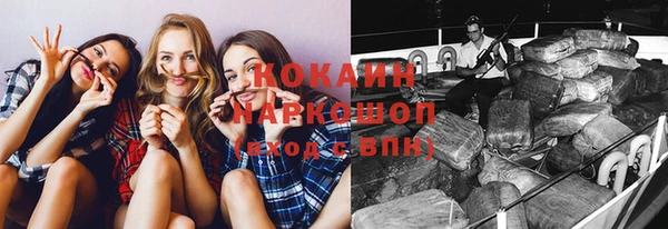 молекула духа Новозыбков