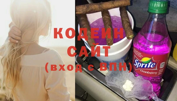молекула духа Новозыбков