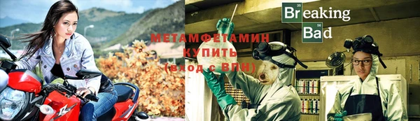 молекула духа Новозыбков