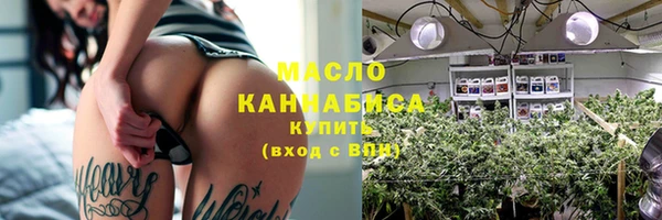 молекула духа Новозыбков