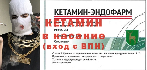 спиды Новодвинск