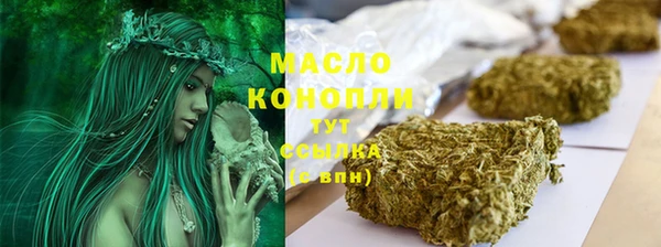 молекула духа Новозыбков
