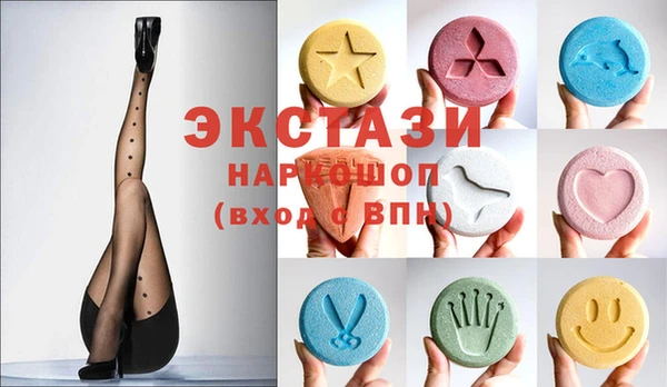 молекула духа Новозыбков