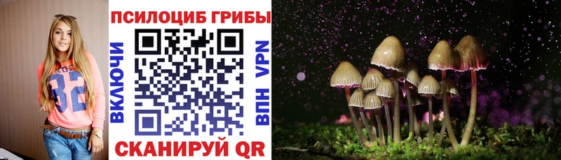 Псилоцибиновые грибы ЛСД  Руза 