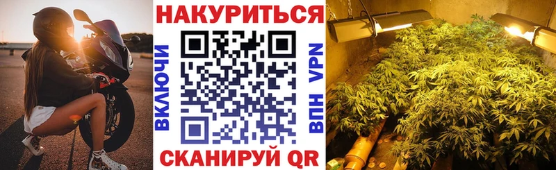 купить  цена  Руза  Шишки марихуана план 